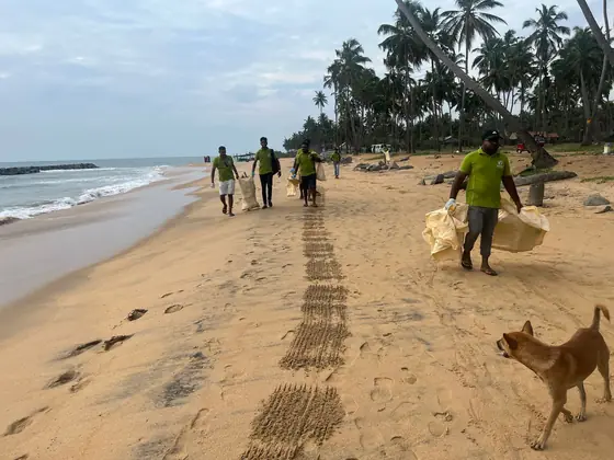 Beach Cleanup Campaigns